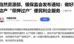 线下怎么抵押房产过户（线下怎么抵押房产过户给别人）