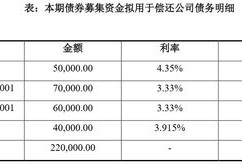 房产债务情况怎么写说明（房产债务情况怎么写说明书）