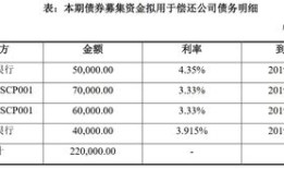 房产债务情况怎么写说明（房产债务情况怎么写说明书）