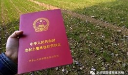 房产确权后怎么改（房产确权怎么更改）