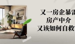 房产获客困境怎么处理（房产获客困境怎么处理的）