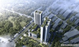 深圳金茂房产怎么样（深圳金茂房地产开发有限公司）