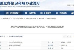 房产开发问题怎么举报（房产开发问题怎么举报投诉）