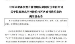 怎么拍卖股东的股份房产（股东司法拍卖）