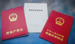 房产产权人证号怎么填（房屋产权人证件号）