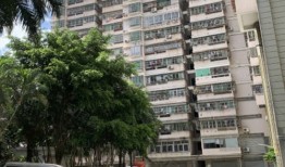 房产人怎么评价海口的（海口房价评估）