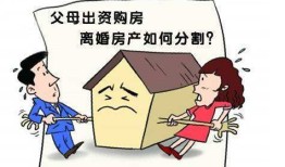 房产被抵押拍卖怎么分割（房产被抵押拍卖怎么分割出来）