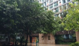 小院怎么购买商铺房产权（买小院需要什么手续）