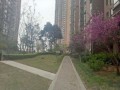龙锦房产怎么样（龙锦房地产开发有限公司）