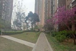 龙锦房产怎么样（龙锦房地产开发有限公司）