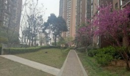 龙锦房产怎么样（龙锦房地产开发有限公司）