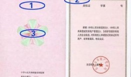 红绿房产证怎么区分（红绿房产证怎么区分真假）