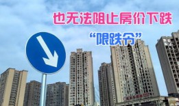 坑人房产专家怎么说（房产专家谈房产）