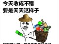 房产知识动画段子怎么写（房产知识动画段子怎么写的）