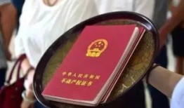 房产登记抵押情况怎么查（房产证抵押情况怎么查询）
