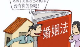 起诉了怎么查配偶房产（起诉怎么查对方财产）