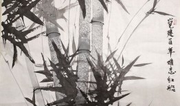房产拍摄创意题材怎么写（房产拍摄创意题材怎么写好）