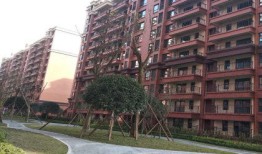 隆腾房产怎么样（隆腾房地产有限公司）