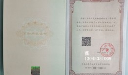 房产证副本怎么领取（房产证副本怎么领取流程）