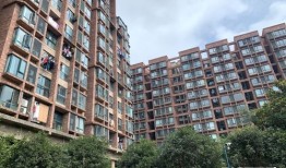 南京老杨房产怎么样（老杨侃房电话）