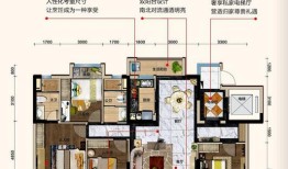 房产怎么选择视频类型的（房产视频怎么加户型图）