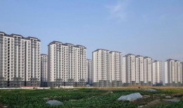 怎么能买到郊区房产（在郊区买房子）