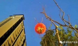 青岛东李房产怎么选（青岛东李房产怎么选房子）