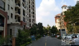 顺德房产现状怎么样（顺德房子）