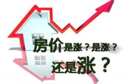 怎么购买爱拼公寓房产（爱拼房地产开发有限公司）