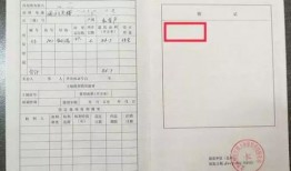 房产号怎么找到房主信息（知道房产号怎么查房产证）