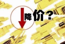 有人买不起房产怎么办（你买不起的房子 别人买得起）