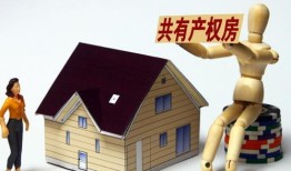 共同拥有房产怎么拍卖（共同拥有房产怎么拍卖过户）