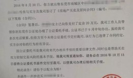 房产返还申诉书怎么写（返还房产的诉讼时效）