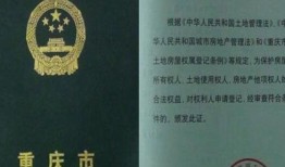 房产共有权证怎么补办（房屋共有权证怎么补办）