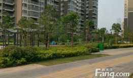 新城房产环境怎么样（新城房产环境怎么样啊）