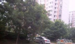冠诚房产怎么样（冠诚房产有限公司）