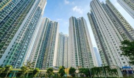 阳江大雁房产怎么样（阳江市大燕地产）