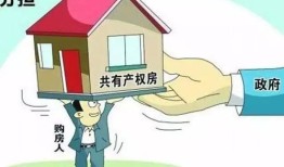 房产共份额应怎么表述（房产共有份额如何析产）