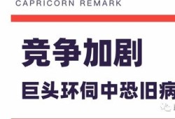 君言房产怎么样（君言科技有限公司）