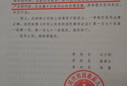 业主状告新城房产怎么写（业主状告开发商属于民事诉讼吗）