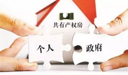 兄弟共有房产怎么拆（兄弟共有产权房怎么分割）