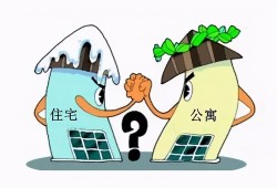 新政房产纠纷怎么处理（新政房产纠纷怎么处理的）