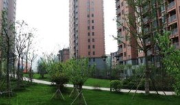 锦秀东方房产怎么样（锦绣东方小区房价）