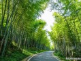 柳州房产局怎么去（柳州房产局电话号是多少）