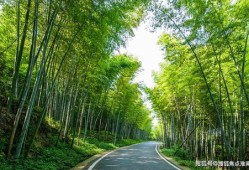 柳州房产局怎么去（柳州房产局电话号是多少）