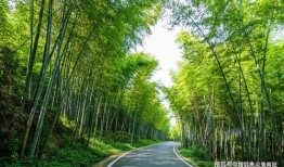 柳州房产局怎么去（柳州房产局电话号是多少）