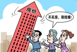 房产的社会贡献怎么写好（房子的社会价值）