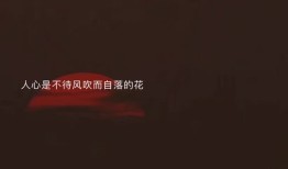 房产文案简介文案怎么写（房产文案短句干净治愈）