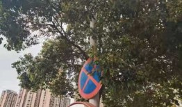 凤达房产怎么样（凤达地产）