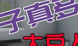 房产达人游戏怎么安窗子（房产达人怎么进入游戏）